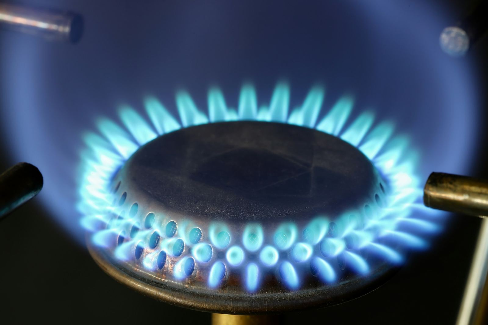 Blue gas flames on a stove burner